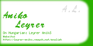 aniko leyrer business card